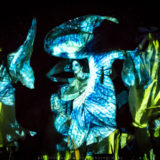 Odonata_Osmose_10