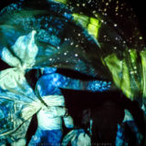 Odonata_Osmose_11