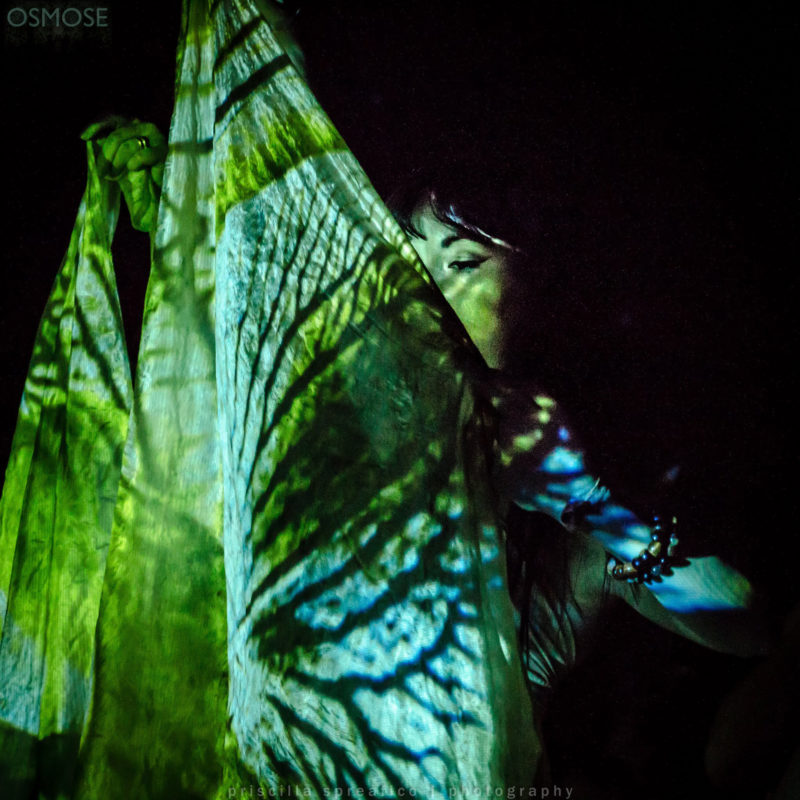 Odonata_Osmose_18